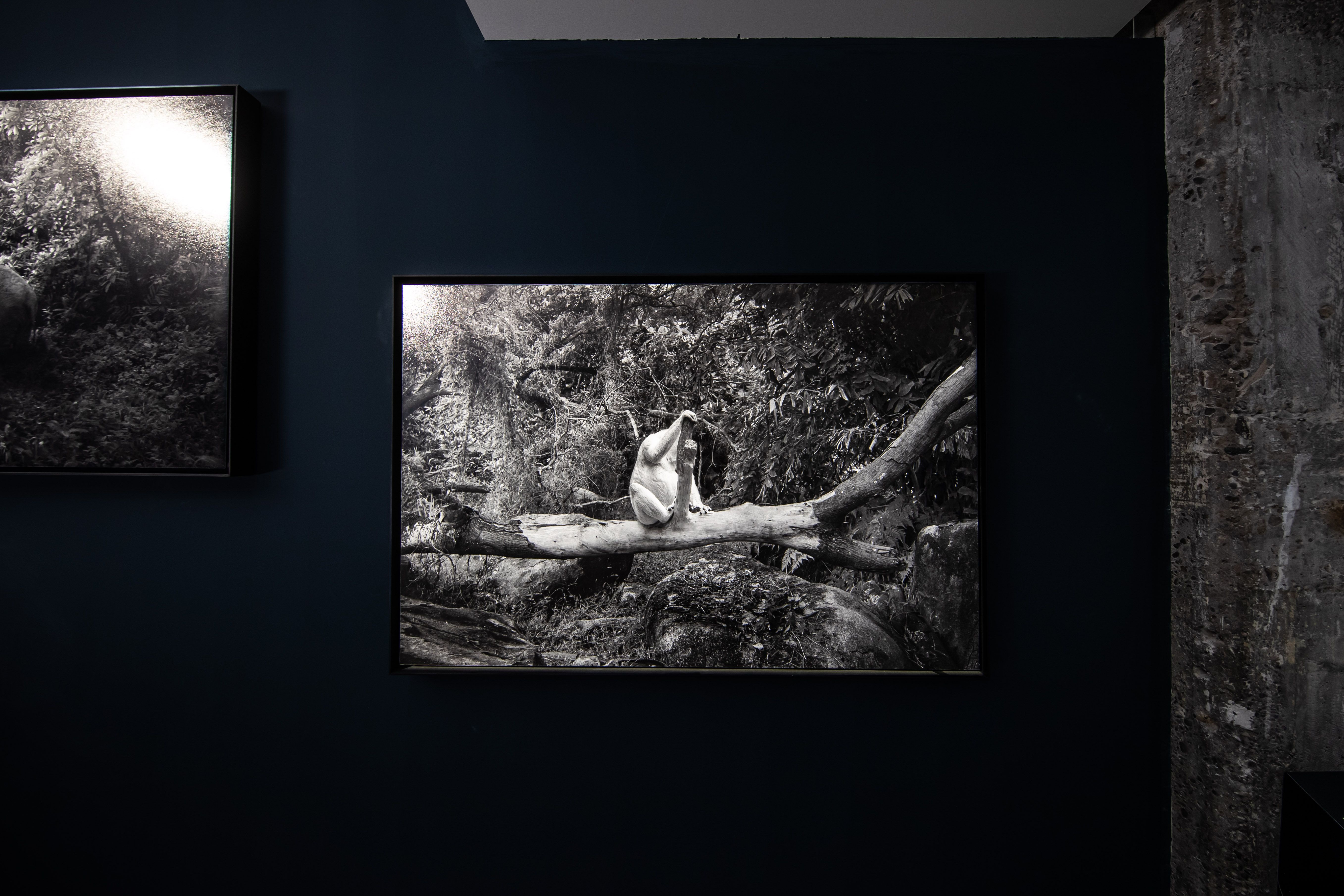 Black and white photo of a person in a thoughtful pose on a tree branch.