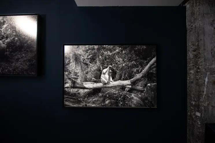 Black and white photo of a person in a thoughtful pose on a tree branch.