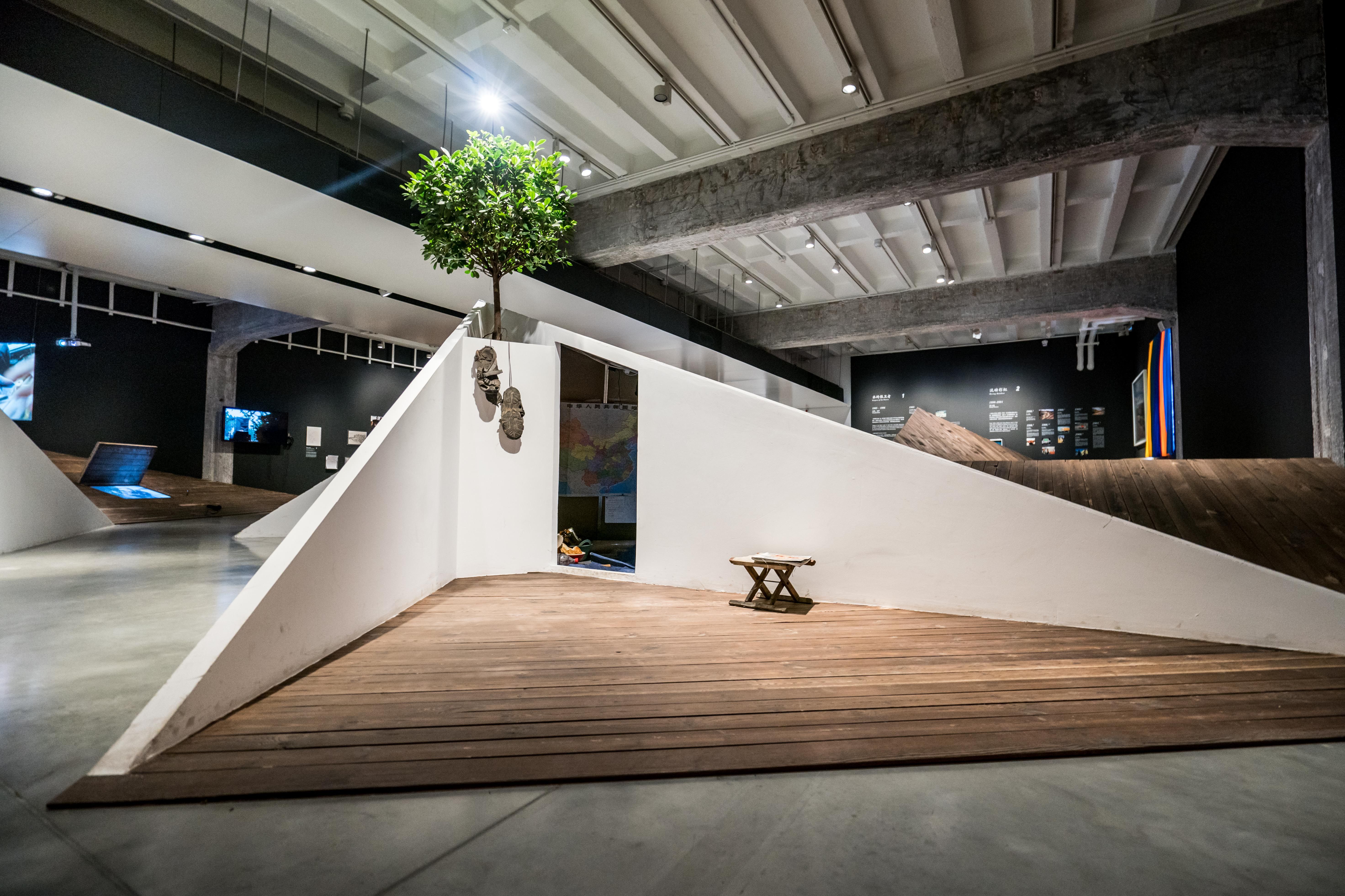 Indoor tree installation on wooden ramp with artwork.