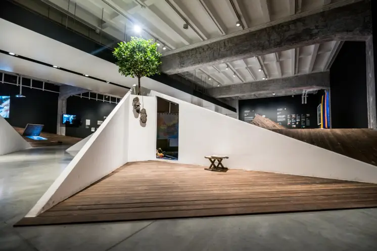 Indoor tree installation on wooden ramp with artwork.