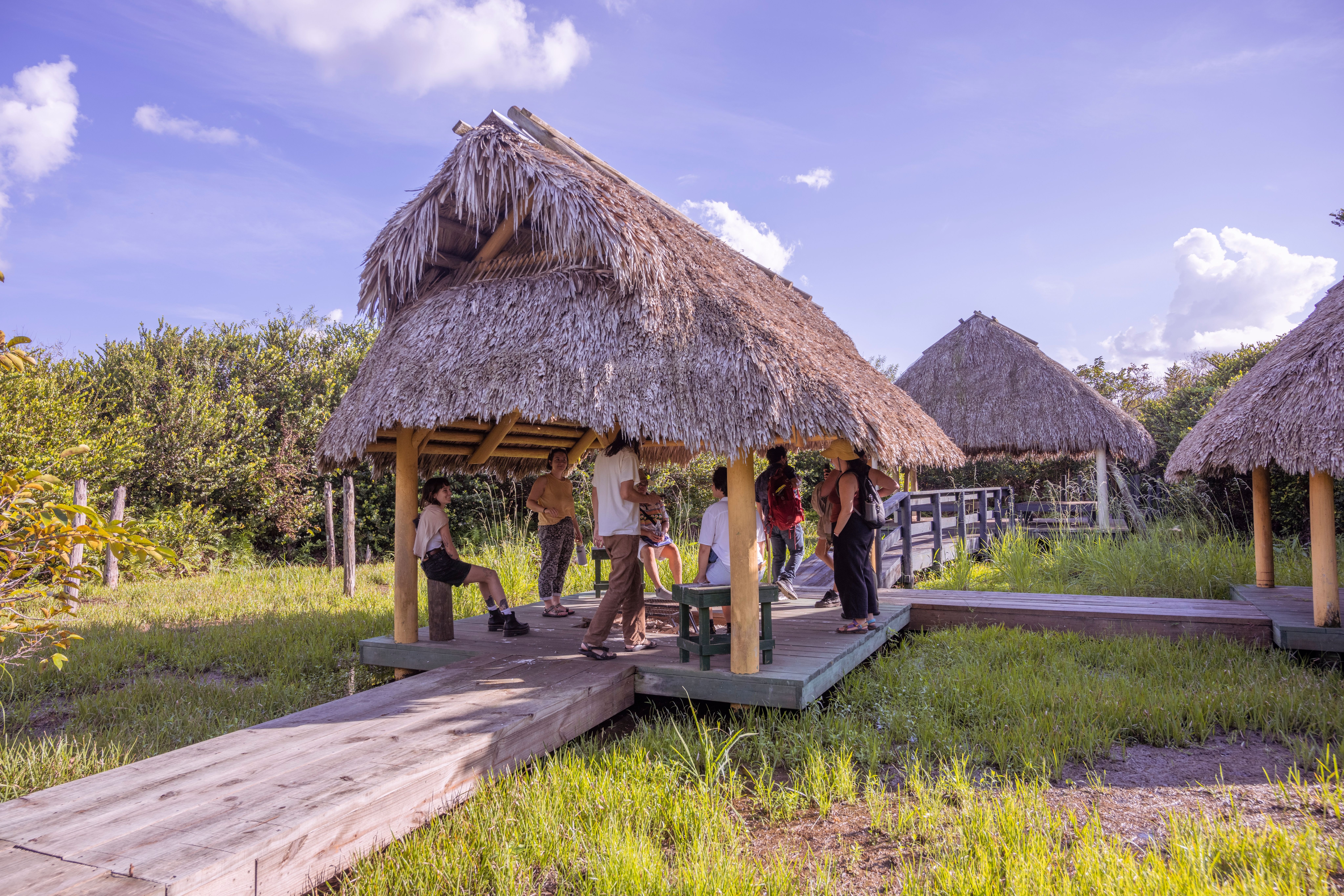 Thatched roof huts with people enjoying an outdoor educational exhibit.