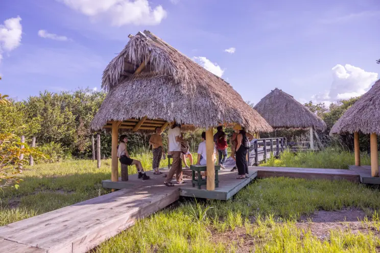 Thatched roof huts with people enjoying an outdoor educational exhibit.