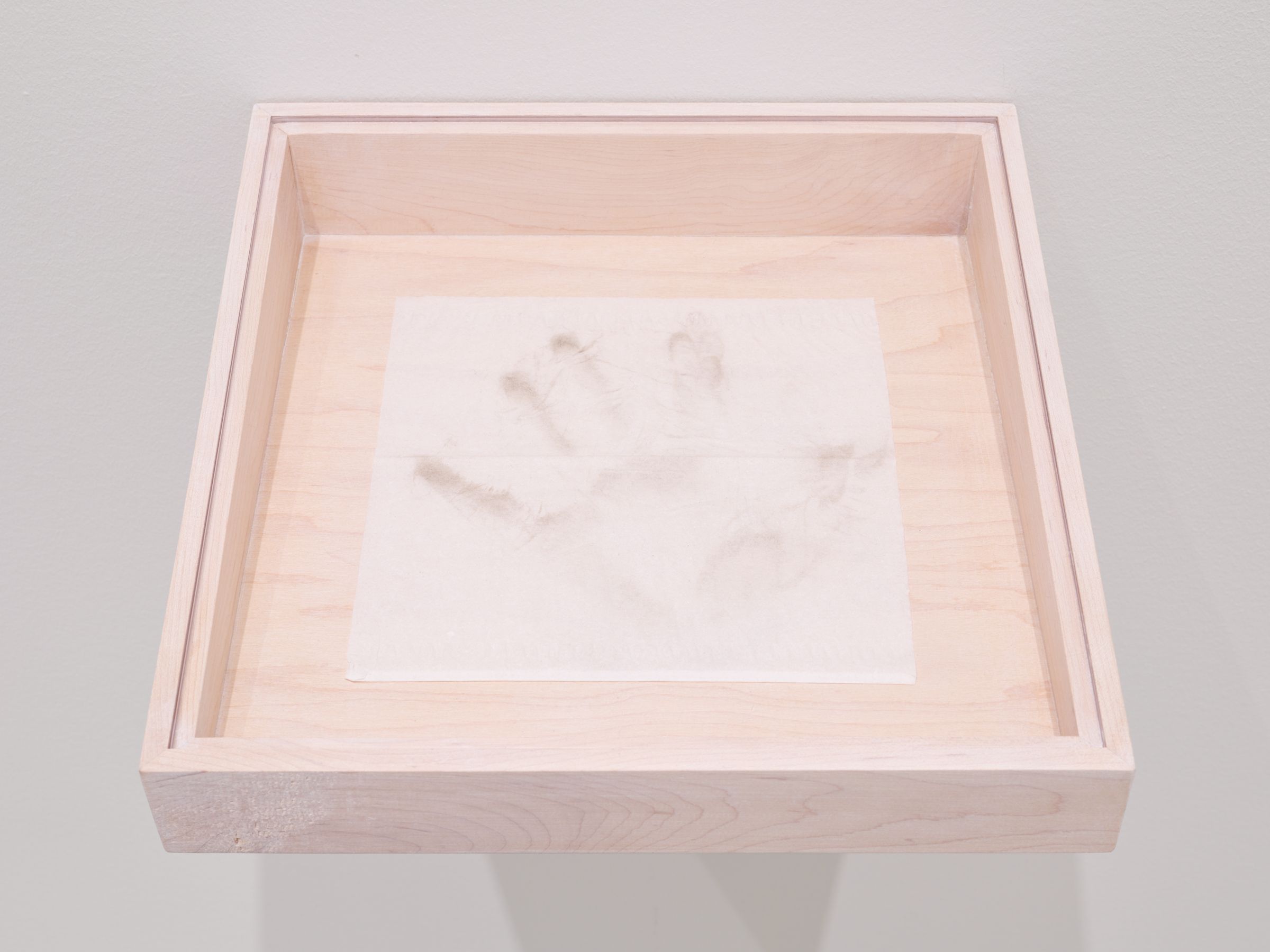 A biological artwork displaying a canvas filled with mold spots and organic patterns.