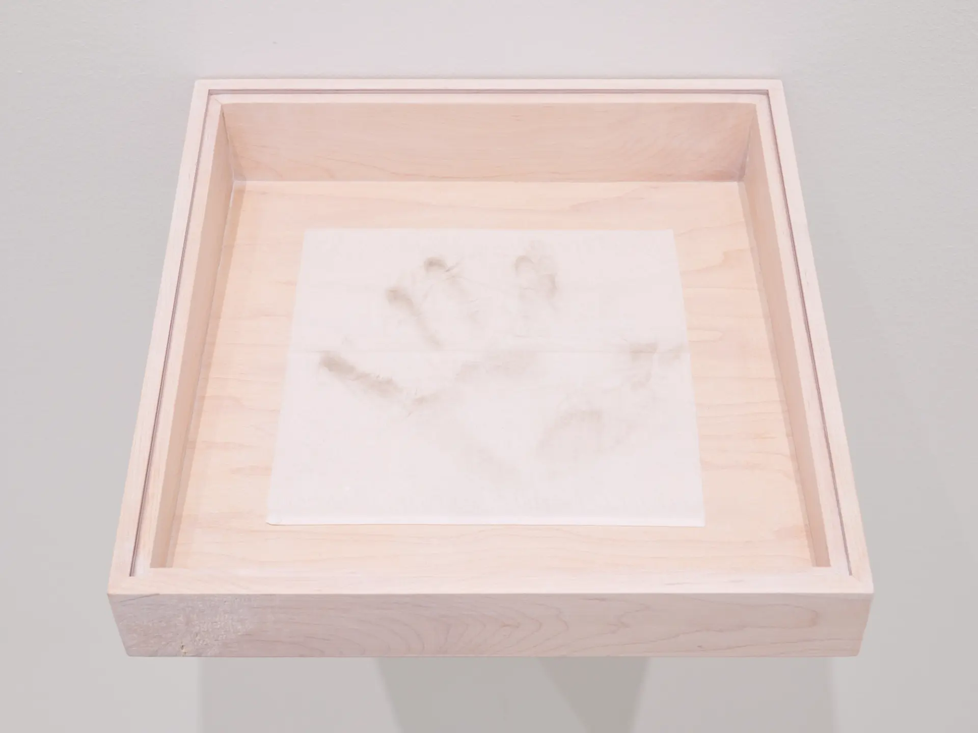 A biological artwork displaying a canvas filled with mold spots and organic patterns.