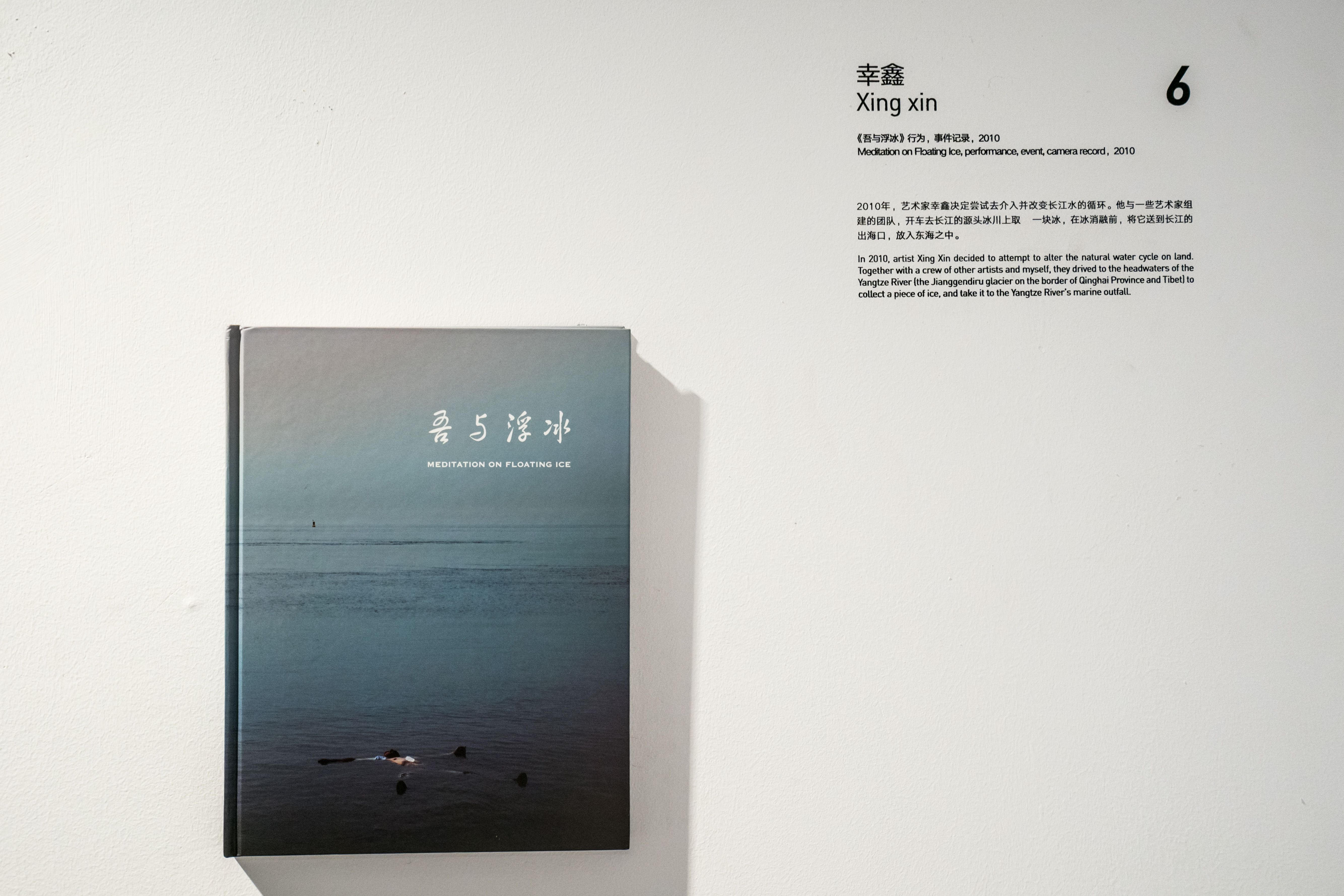 Gallery display of a book titled "Meditation on Floating Ice."