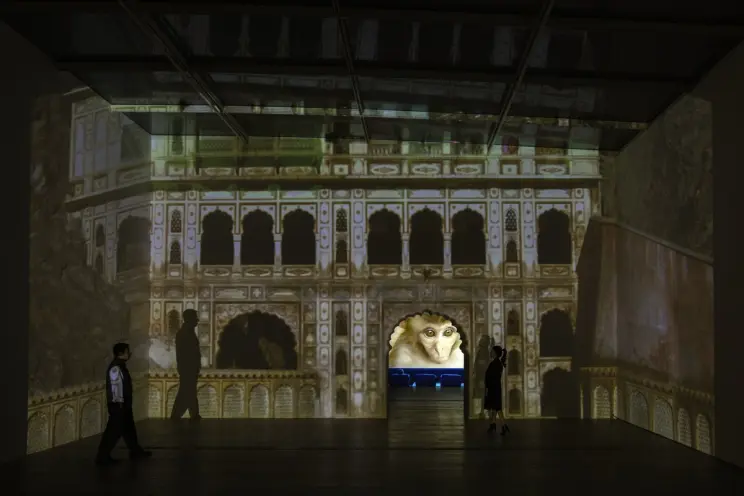 A projection on the wall displaying an image of an old architectural structure alongside a screen that shows a monkey.