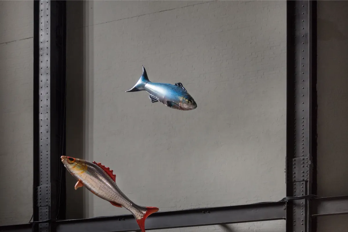 Two floating fish sculptures, one with a silver-blue hue and the other in silver-red, are suspended in the air against a wall in Tate Modern.