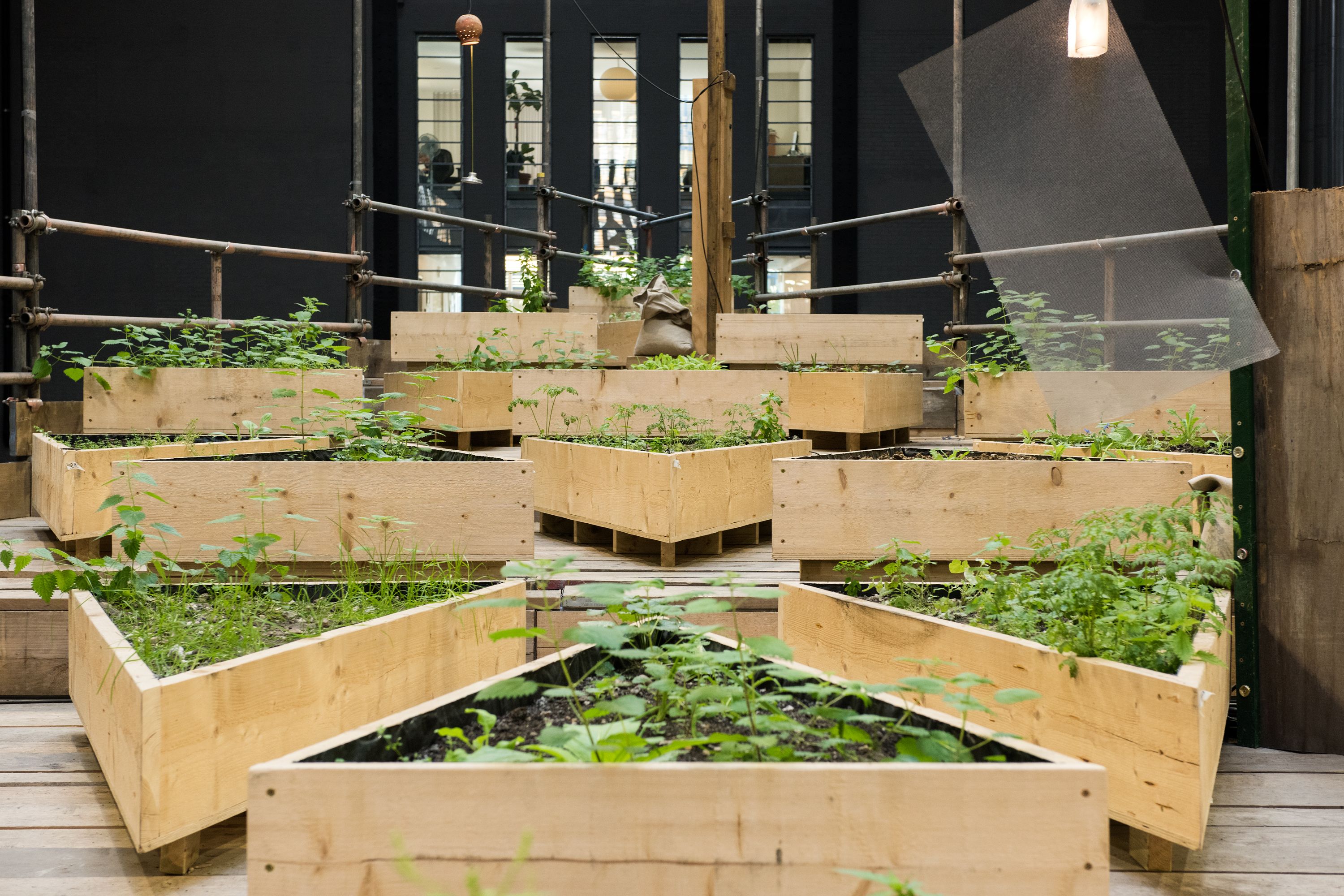 A series of large wooden triangle-shaped plant boxes are arranged at various heights, creating a tiered garden effect.