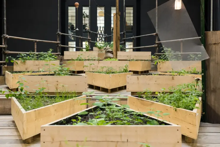 A series of large wooden triangle-shaped plant boxes are arranged at various heights, creating a tiered garden effect.