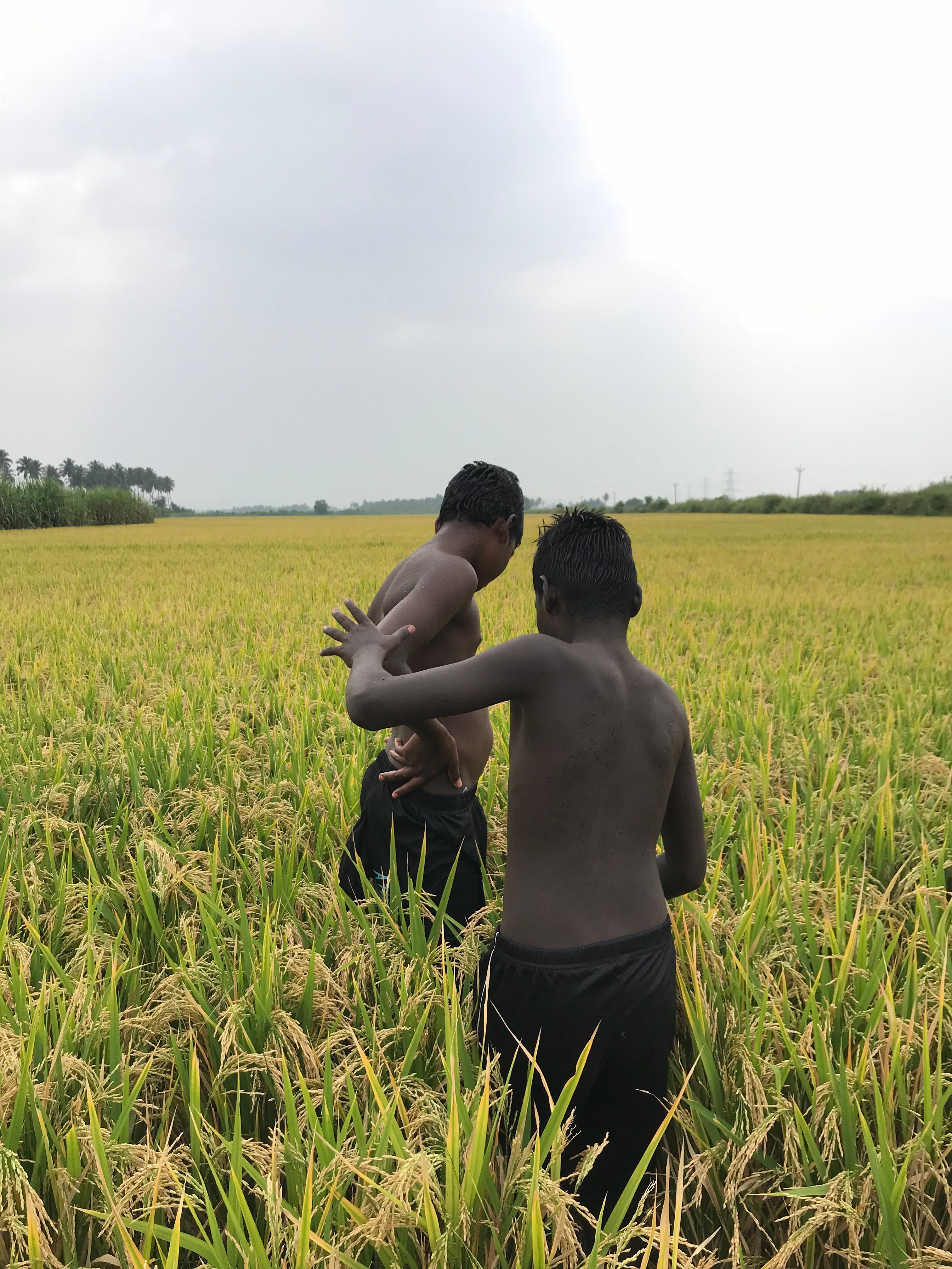 Two people stand between reeds in a vibrant green marsh.