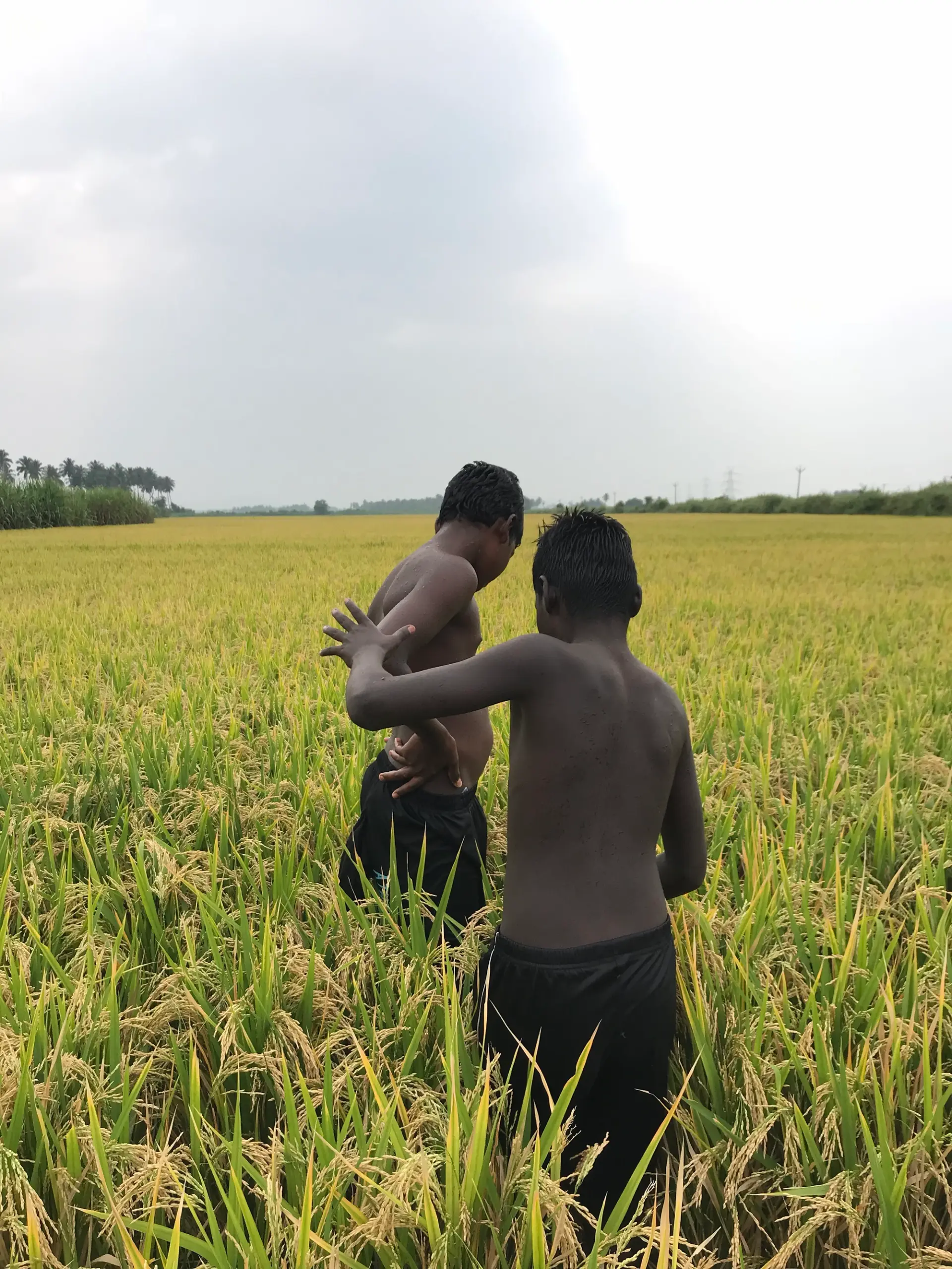 Two people stand between reeds in a vibrant green marsh.