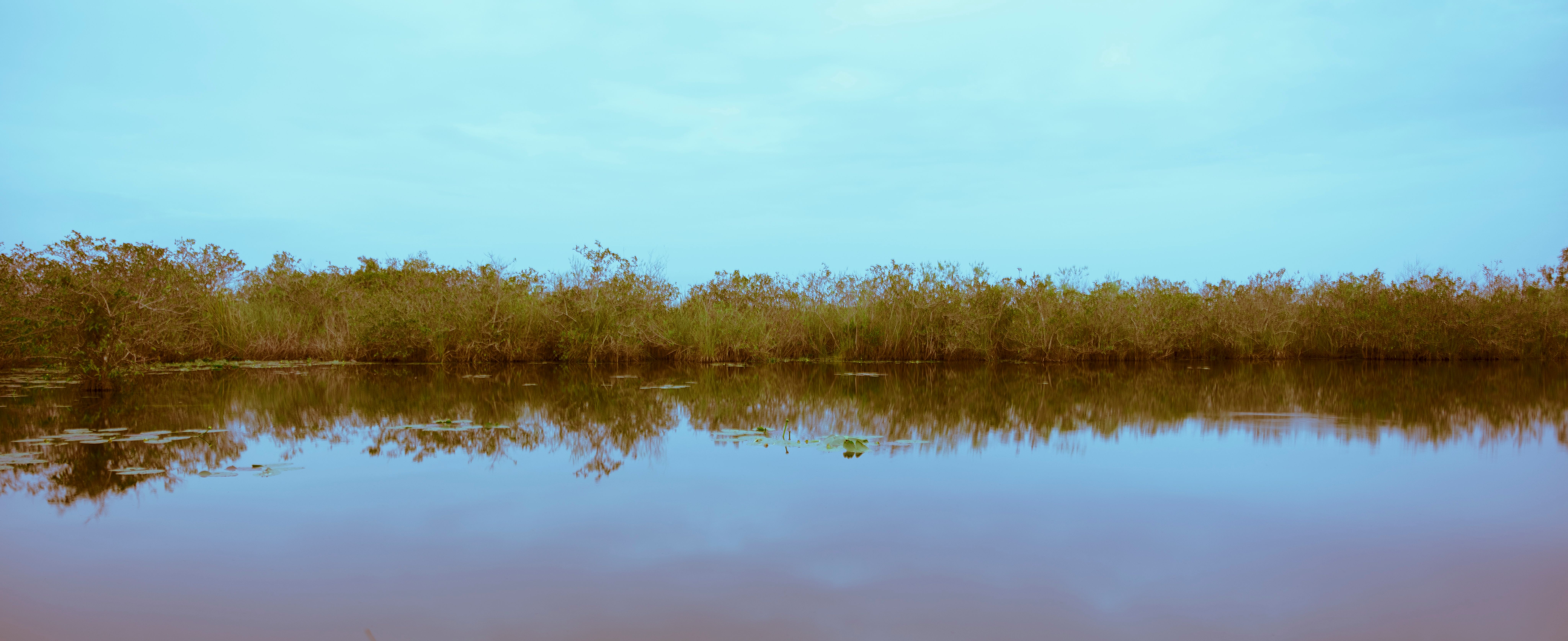 Wide-angle view of a calm river reflecting dense riverside vegetation under a blue sky.