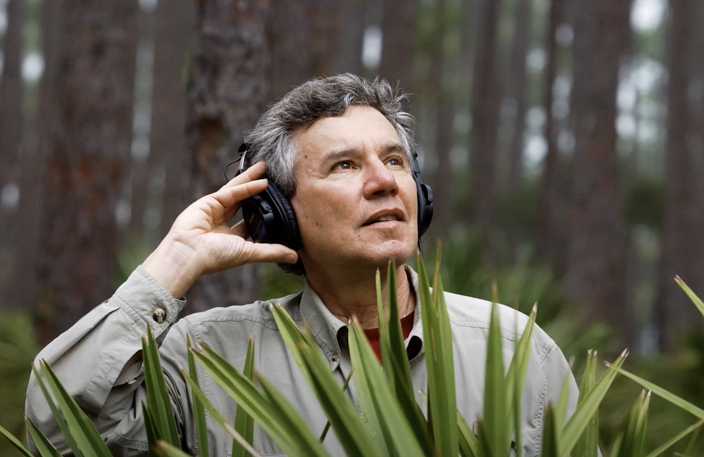 A person with grey hair, standing in a forest, wearing headphones. Their hand is adjusting the left headphone. They are lo...