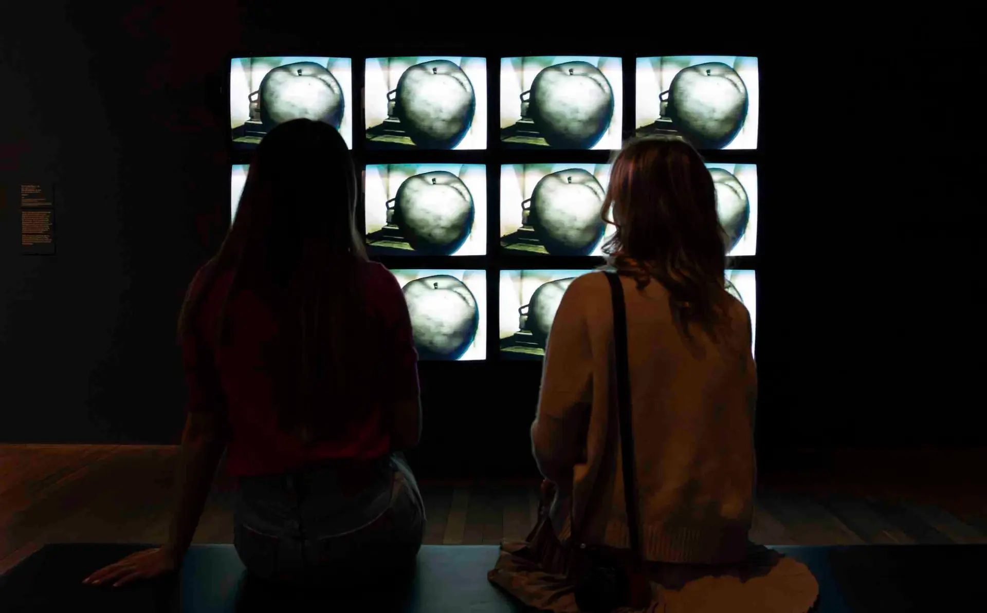 Two seated figures are seen looking at a grid of identical images.
