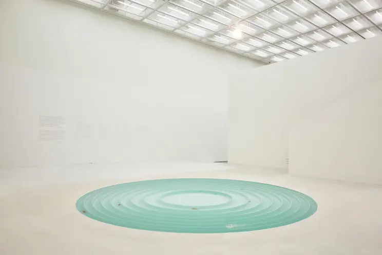 Nine goldfish depicted in a 2015 artwork, scattered among turquoise round shapes on the floor.