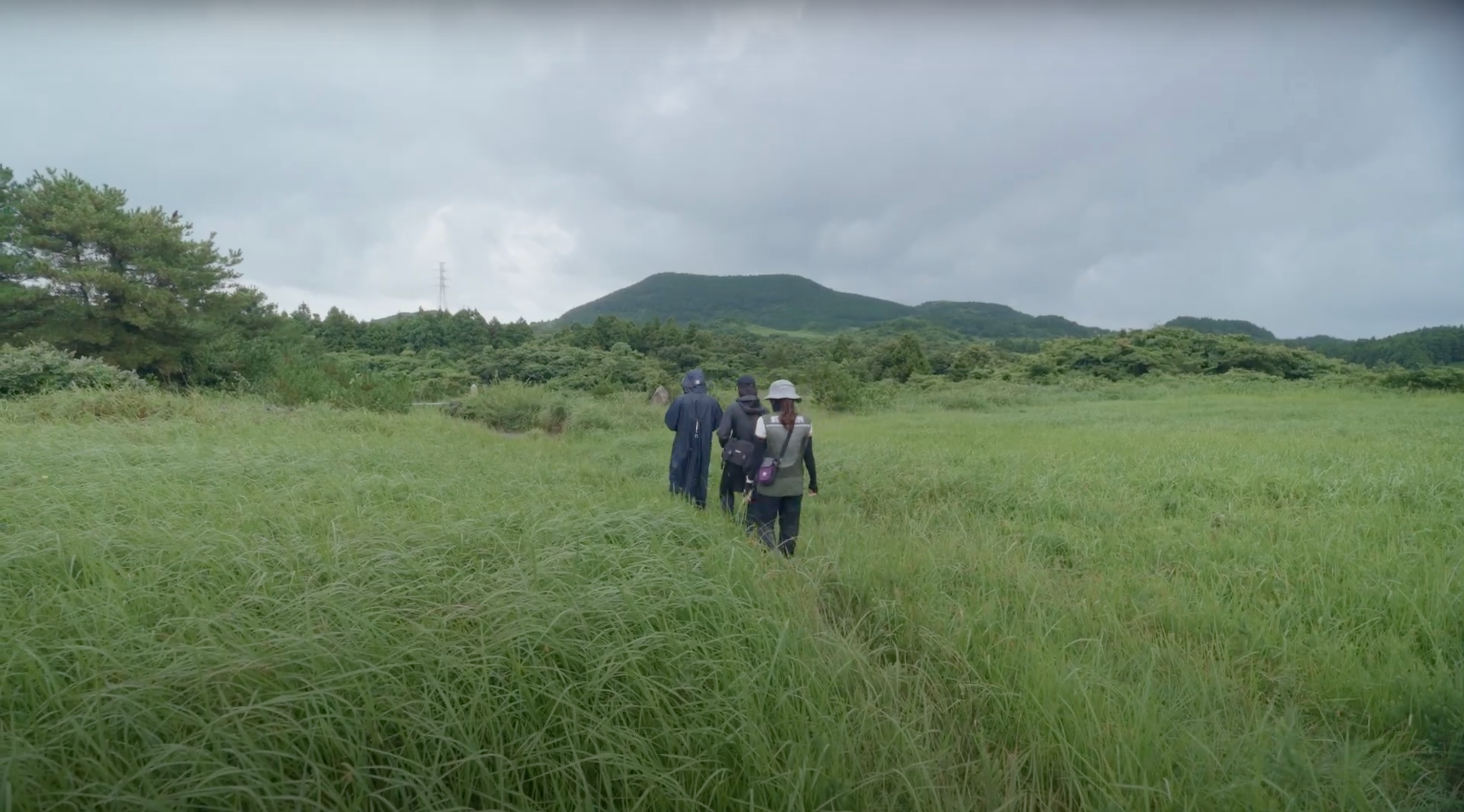 Three people walk through a vast, green field under an overcast sky, surrounded by tall grass and trees.