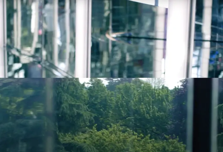 Two stacked photographs: the upper image displays blurry windows, while the lower image features a vibrant wooded landscap...
