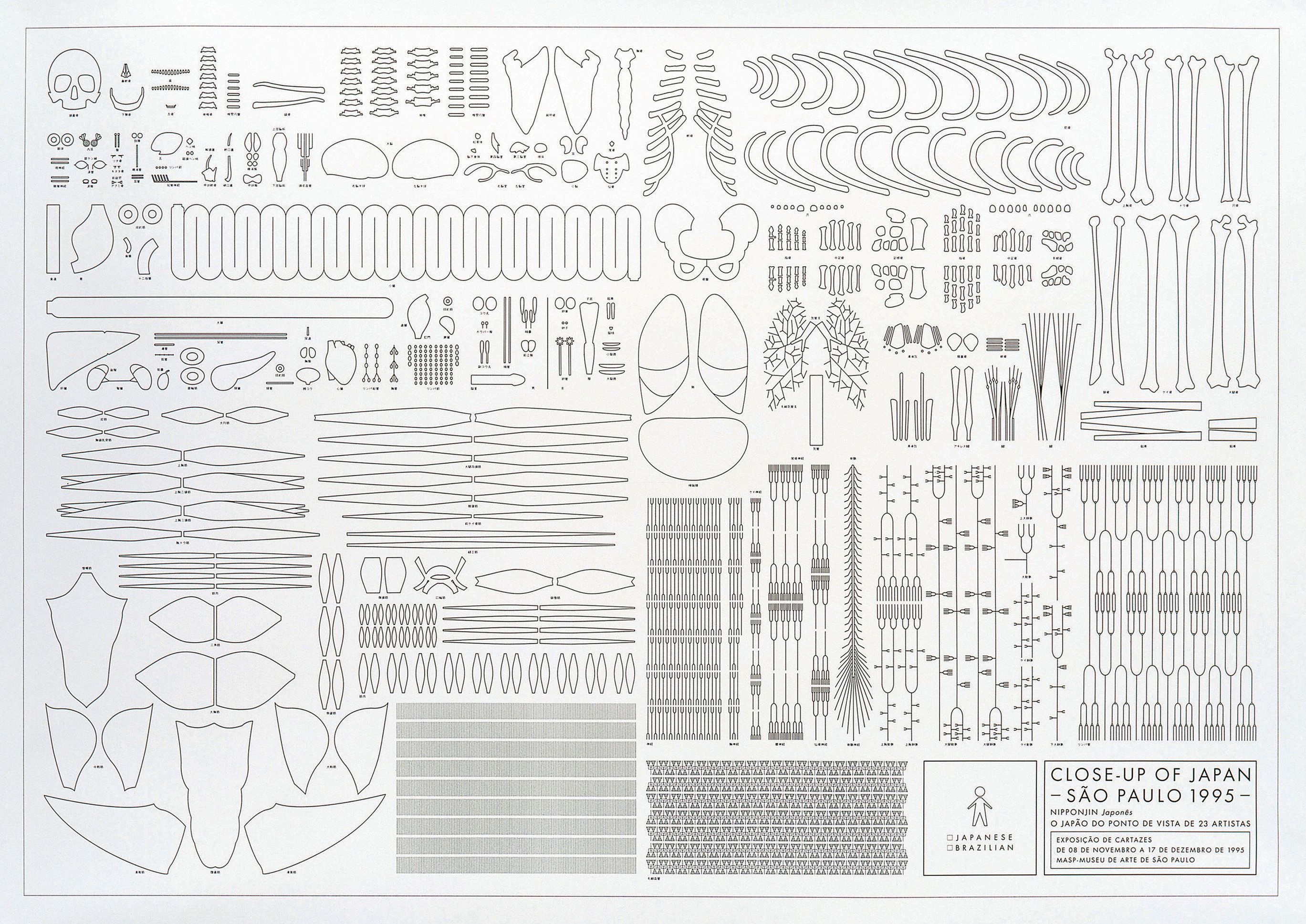 A poster containing detailed illustrations of body parts. Contains a stick figure drawing with the words “Japanese” and “Brazilian” next to check-marks, and text that reads “Close-Up of Japan - Sao Paulo 1995.”