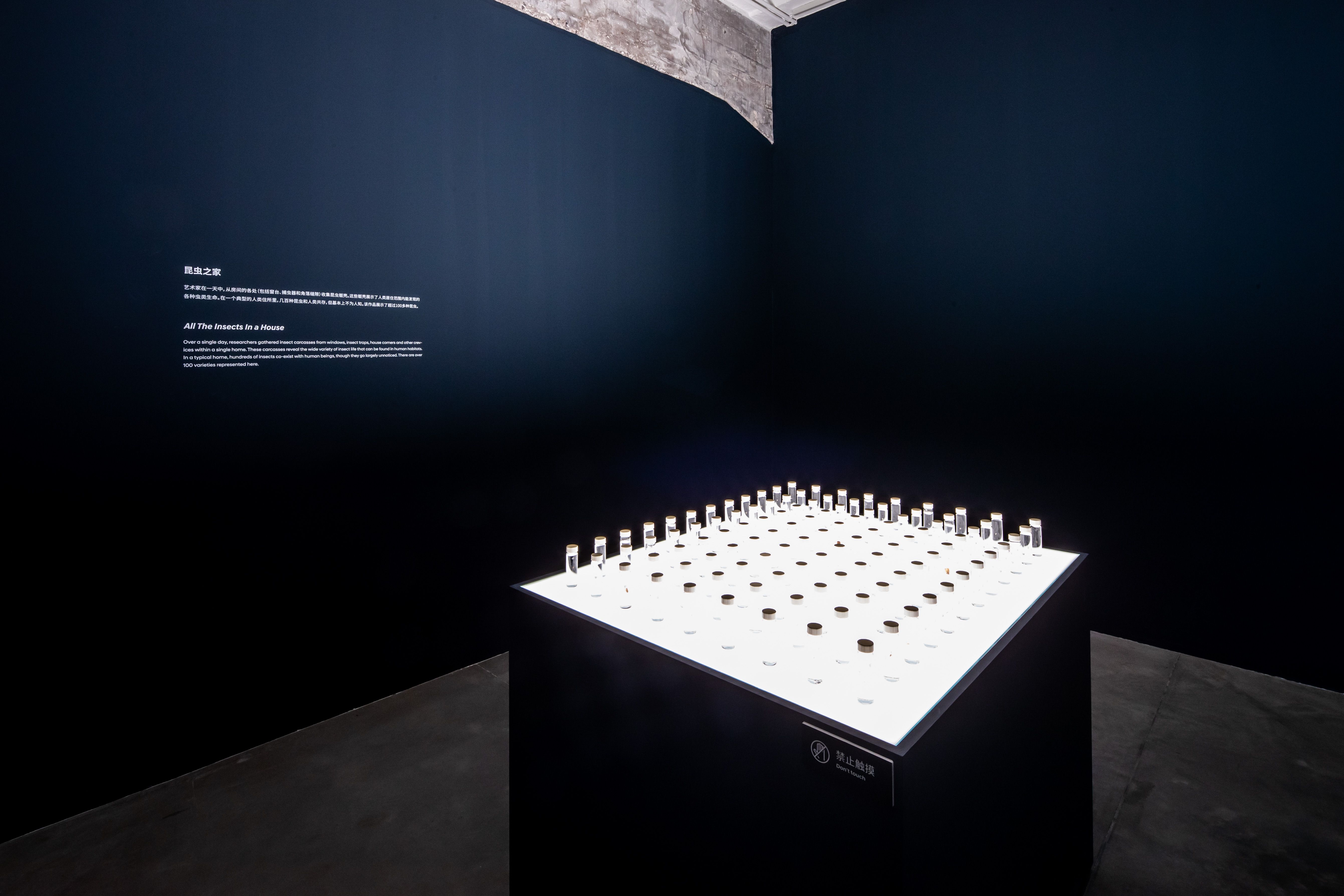 A dark exhibit with rows of small jars on a lit table.