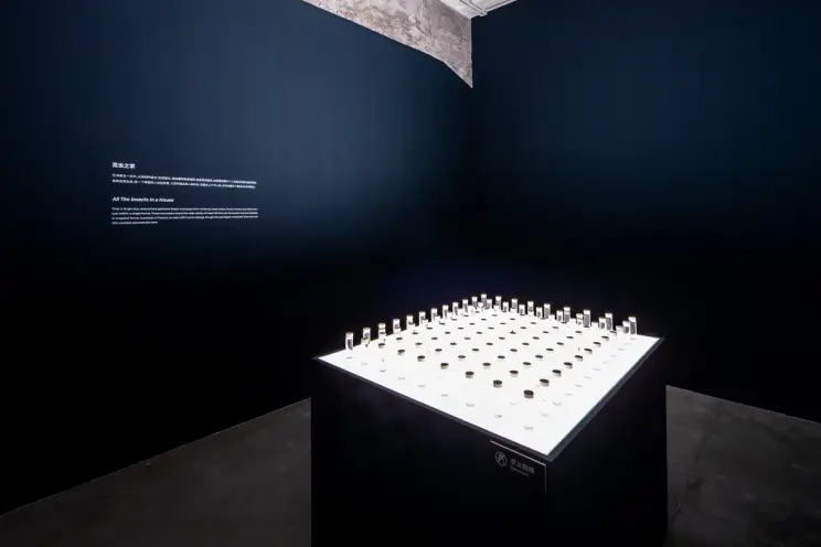 A dark exhibit with rows of small jars on a lit table.