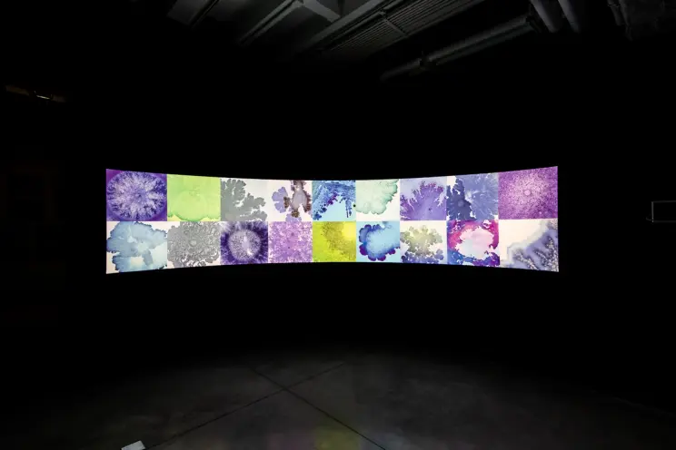 Wide colorful projection of abstract, cellular patterns.