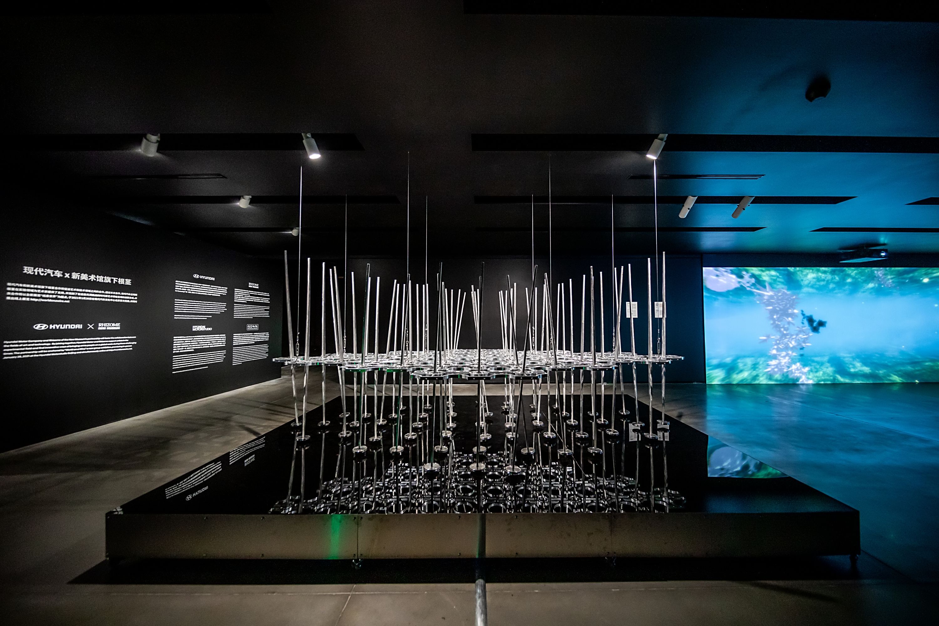 An art installation composed of iron spikes displayed in a gallery hall as a part of the 'Art in a Wire' exhibition. Black...