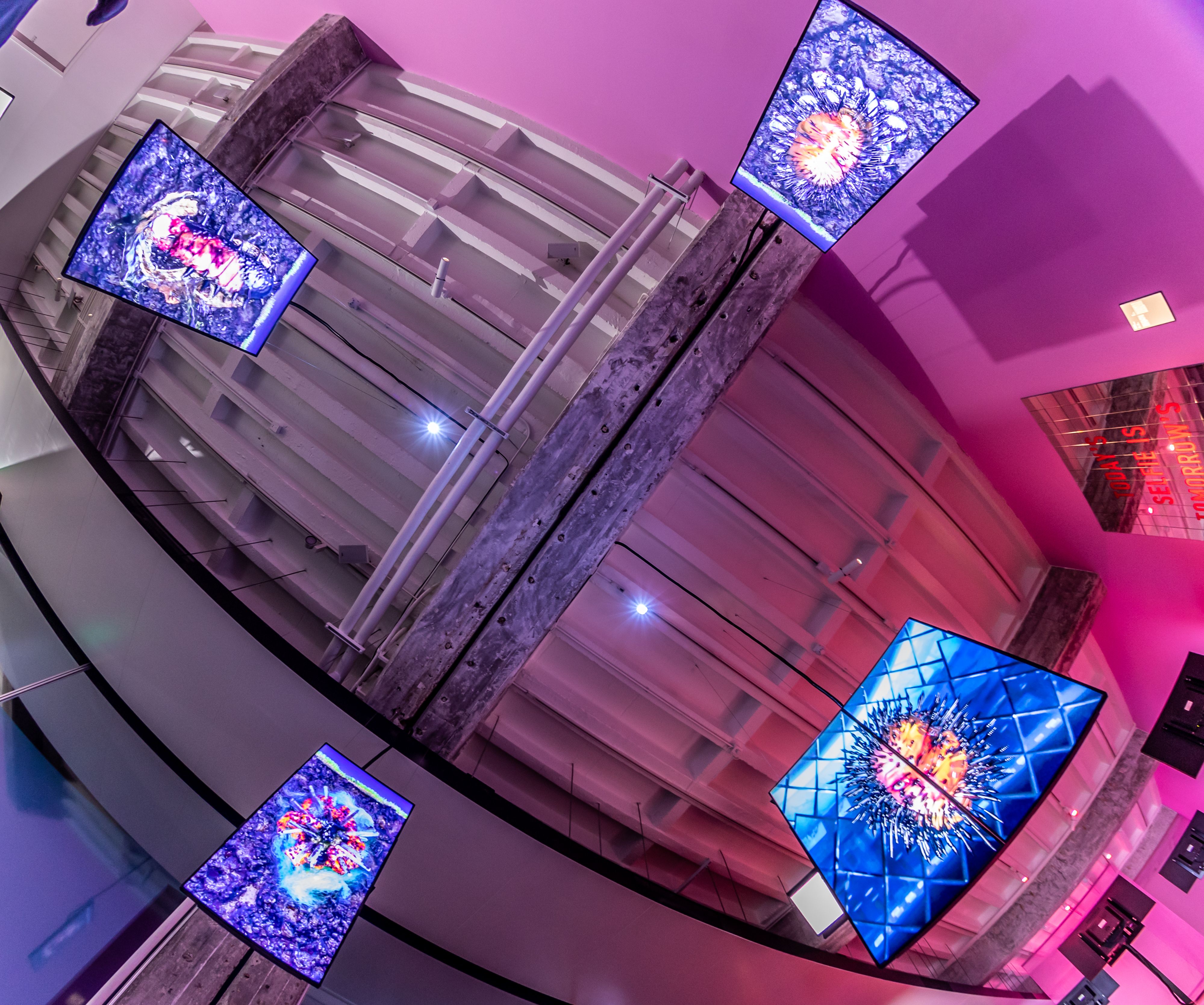 Overhead view of monitors with intricate designs, hanging from a ceiling.