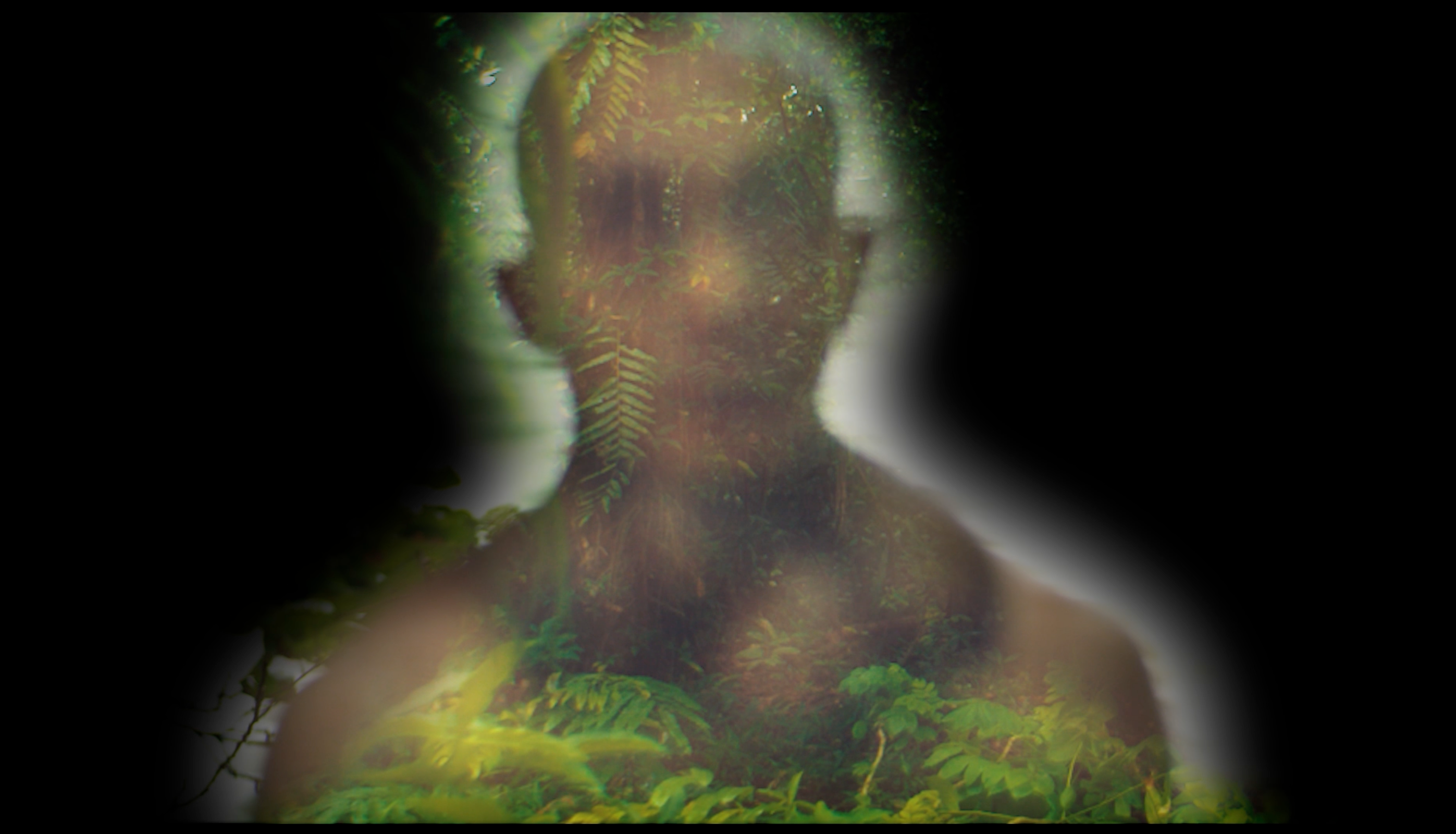 A translucent human figure merges with ferns and foliage, creating a ghostly, forest-like visage.