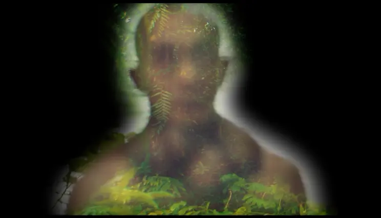 A translucent human figure merges with ferns and foliage, creating a ghostly, forest-like visage.