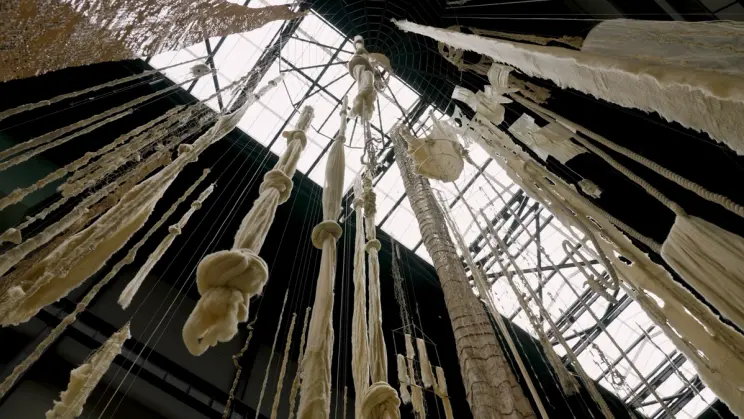 A view from below of hanging white fabric.