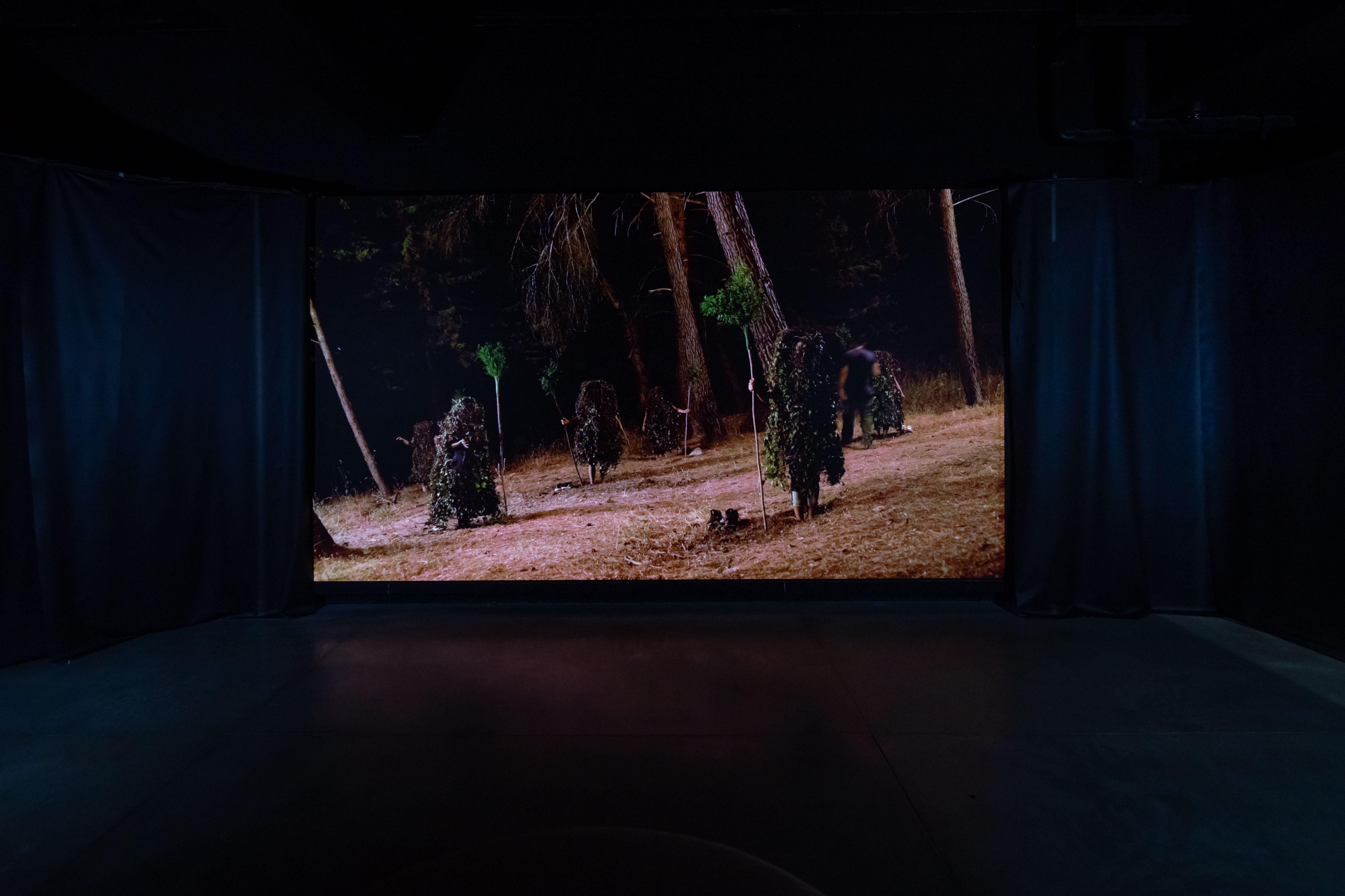 A wide screen in a dim room displaying individuals in tree costumes nurturing newly planted saplings.