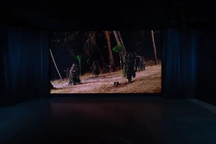 A wide screen in a dim room displaying individuals in tree costumes nurturing newly planted saplings.