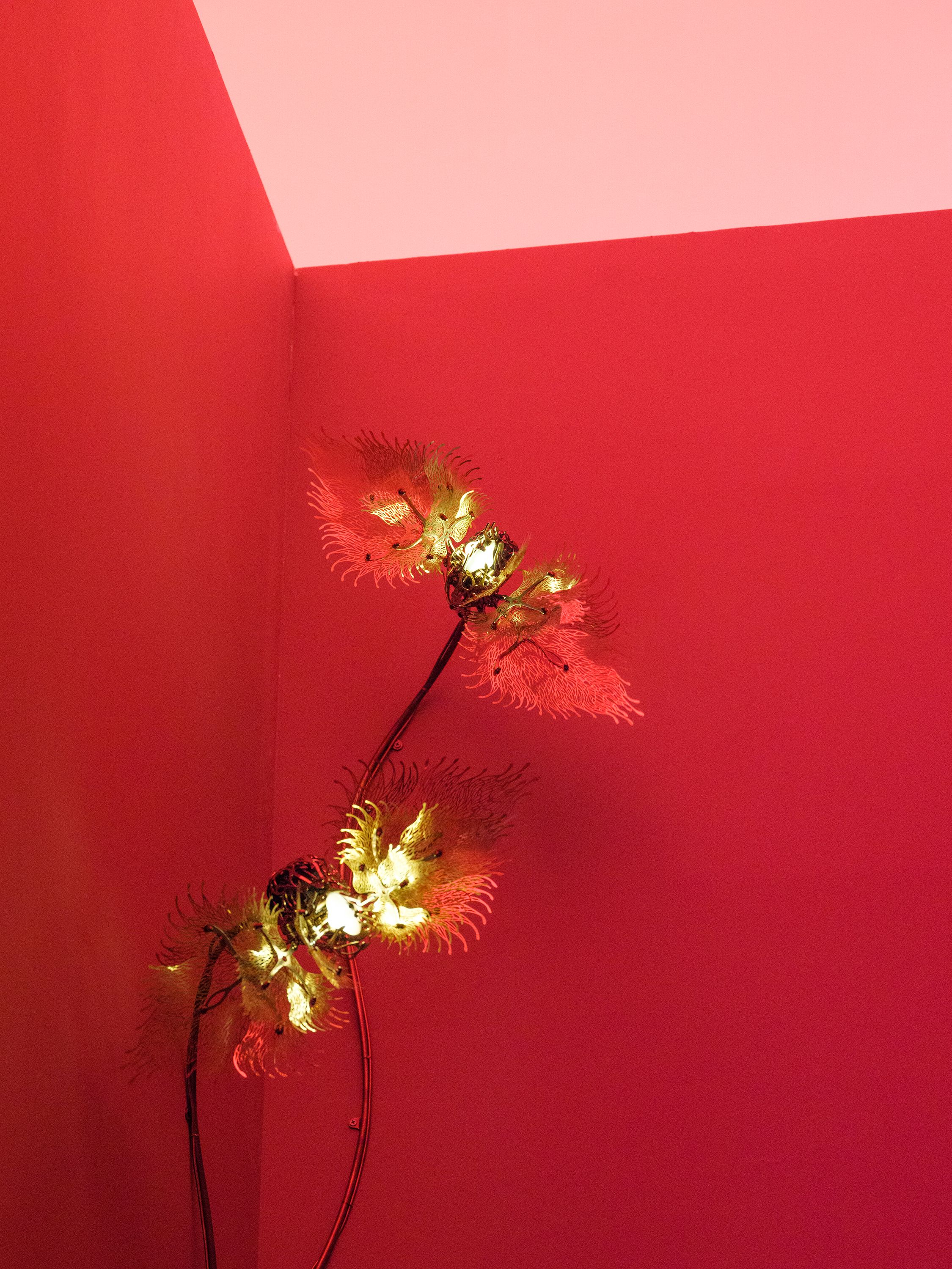 A metallic sculpture reminiscent of a plant, bathed in hues of red and gold, stands in a room with matching red walls. The...