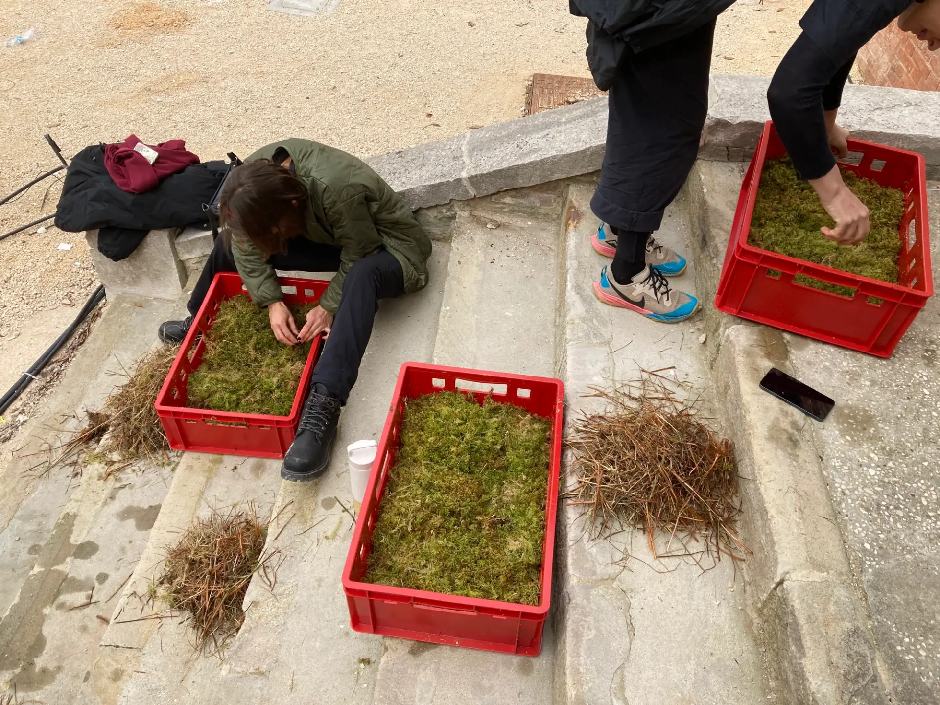 Two people sorting and preparing moss in red crates outdoors on stone steps.