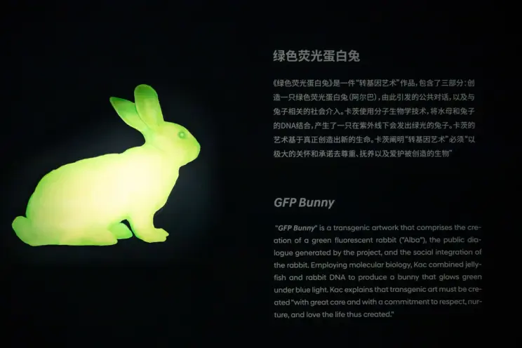 Glowing green rabbit figure next to information about "GFP Bunny."