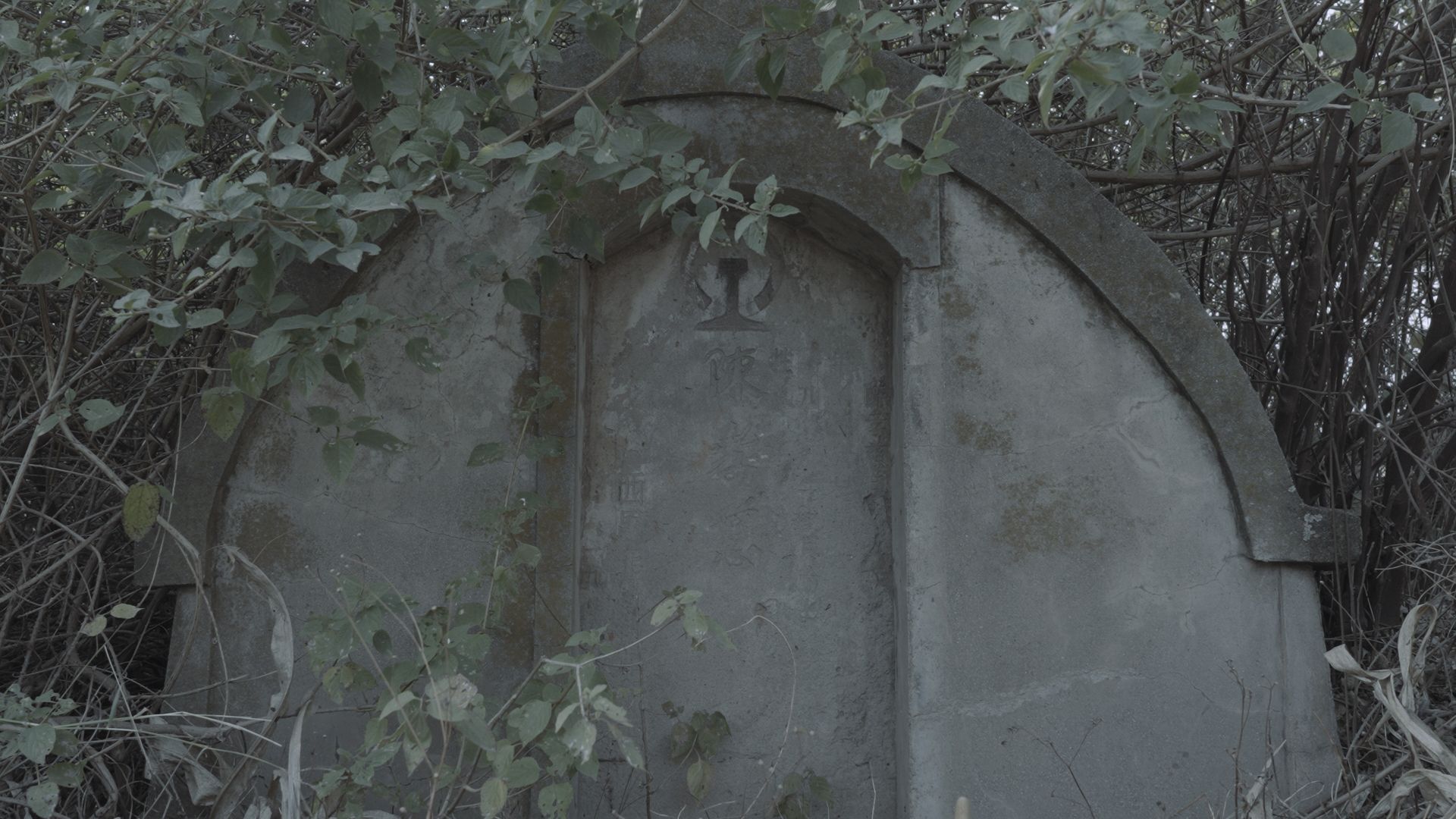 Image related to content