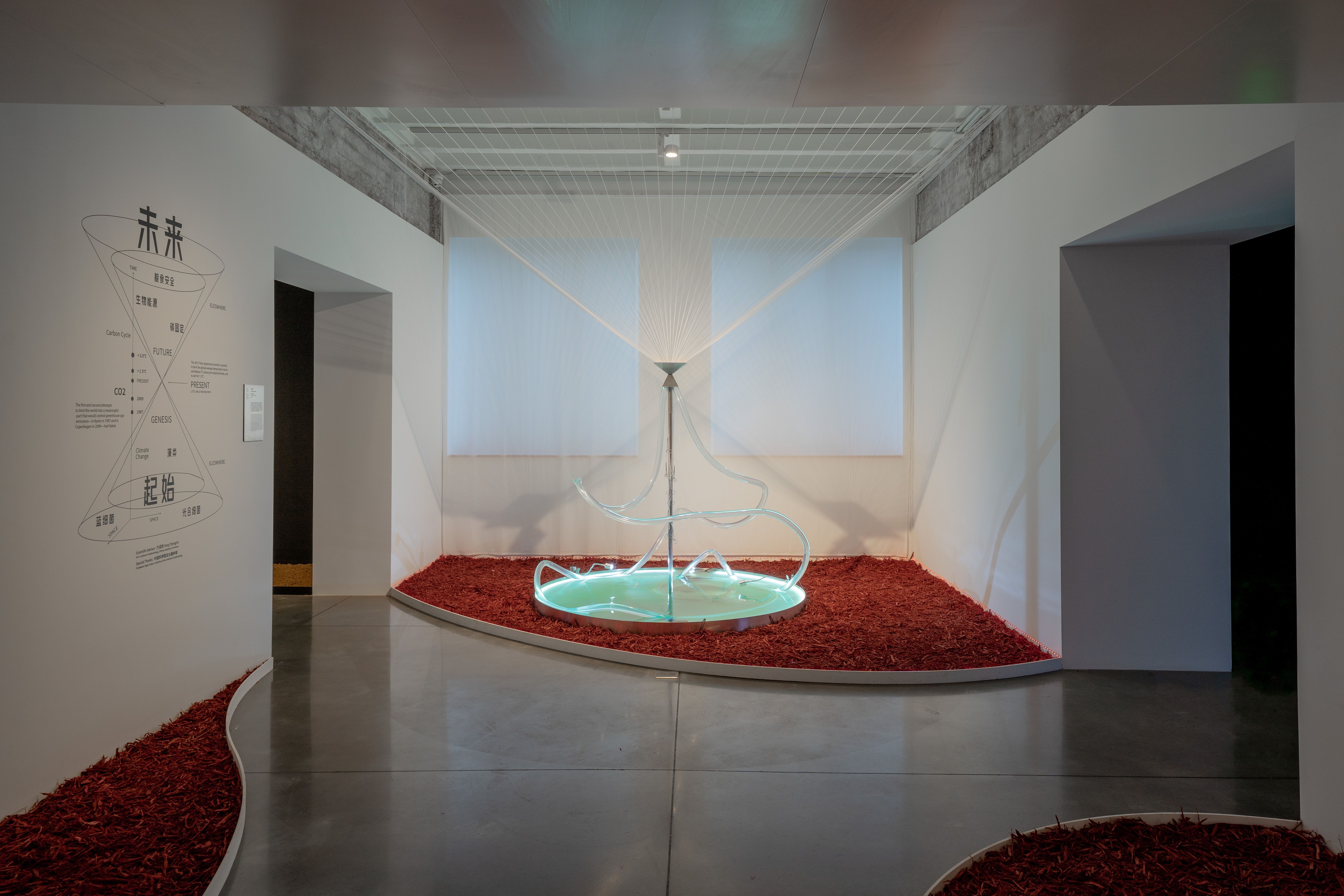 A sculpture made of clear tubes affixed to a water base, placed atop mulch in an exhibition space.