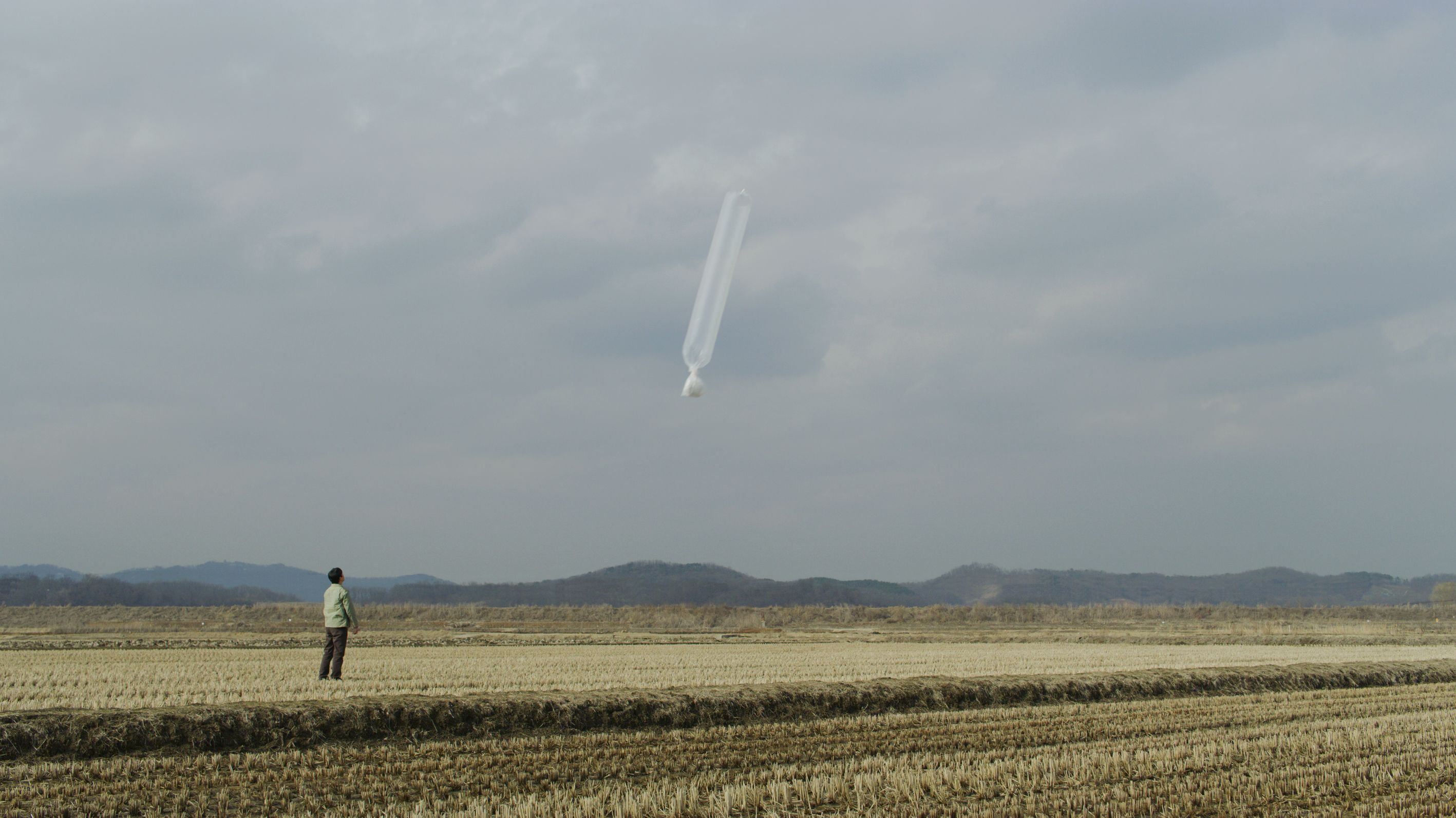 An individual stands in an open field focusing on a floating balloon in the distance.