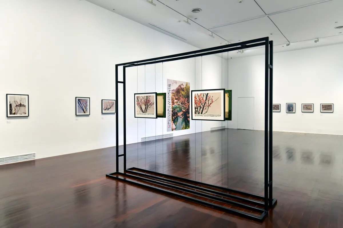 A spacious white gallery room with polished wooden flooring showcases an exhibition of framed photographs depicting Japanese cherry blossoms on its walls. At the center, four art pieces hang from a metal construction.