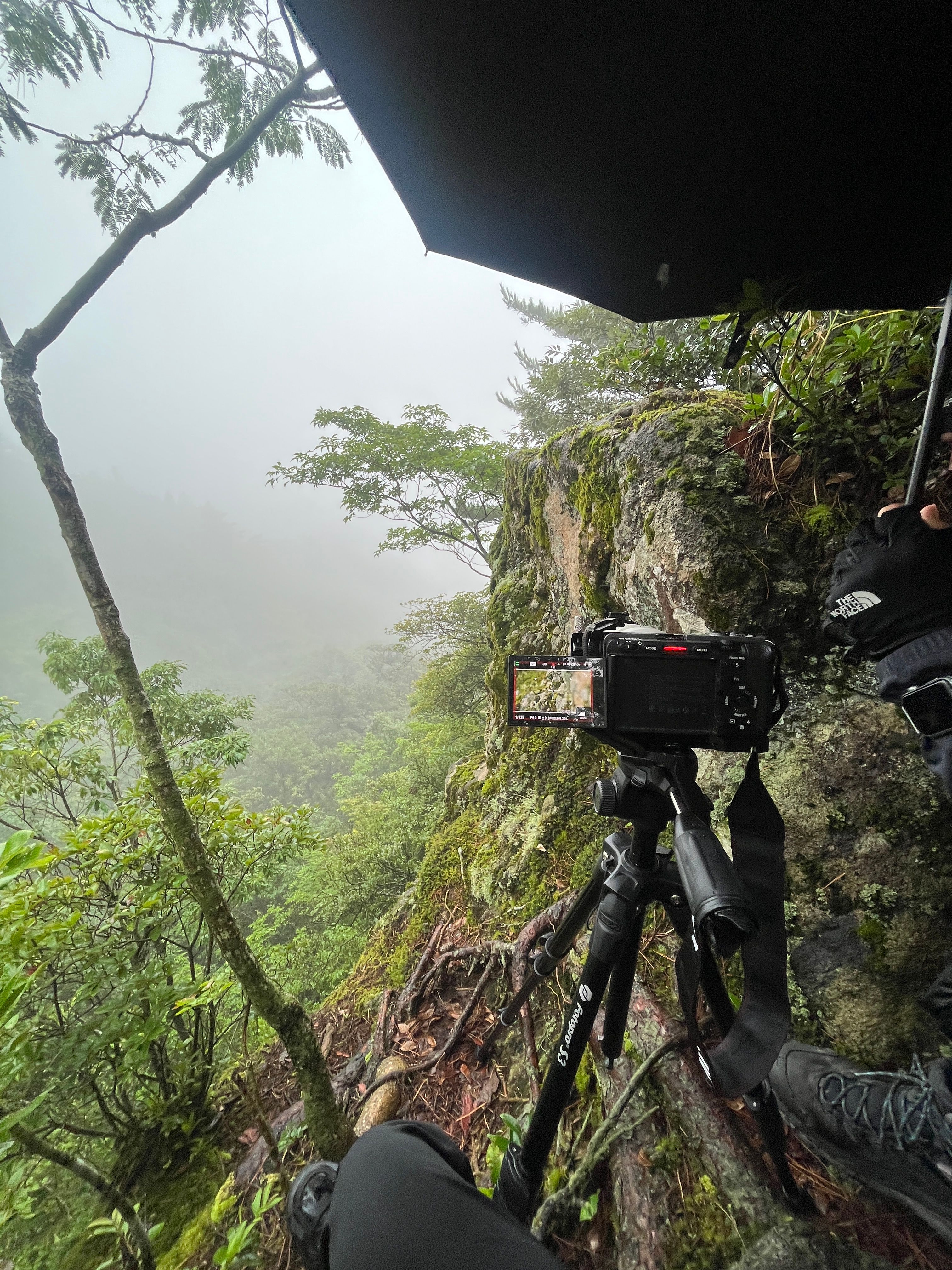 A camera on a tripod overlooking a misty cliffside, sheltered by an umbrella.