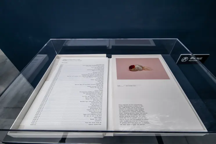 Open book display with a typed list and a picture of a goldfish.