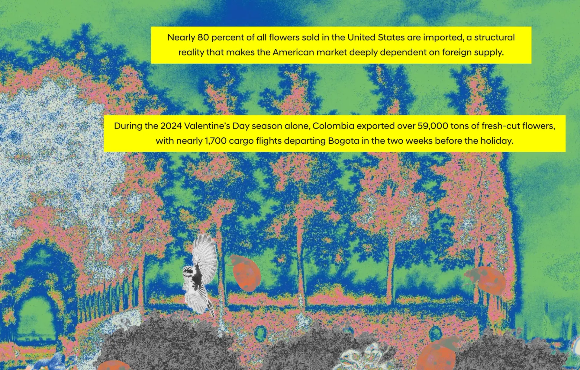 False-color park path with a bird and ladybugs. Text on US flower imports and Colombia's 2024 Valentine's Day exports.