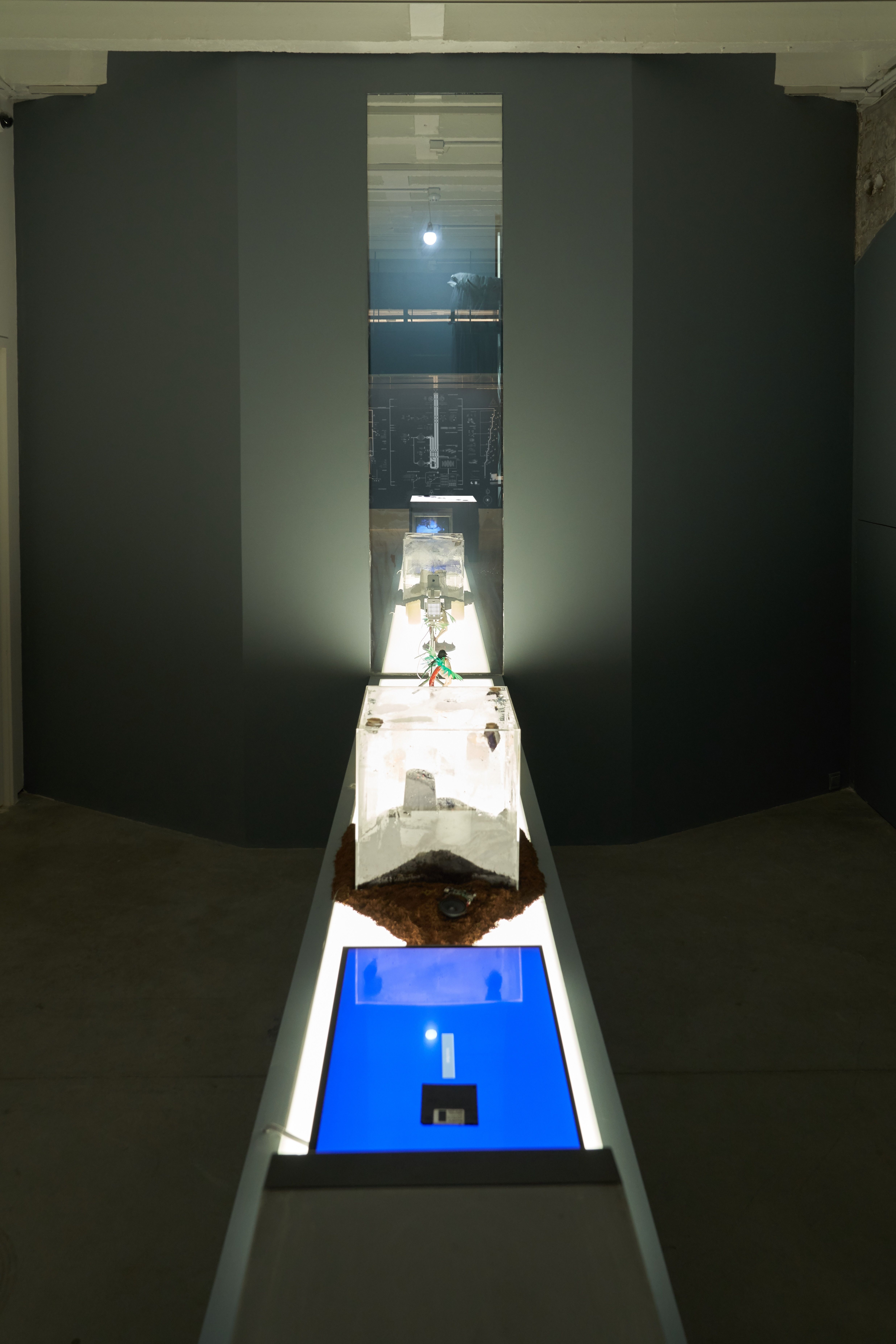 Long translucent boxes with various contents on display in gallery.