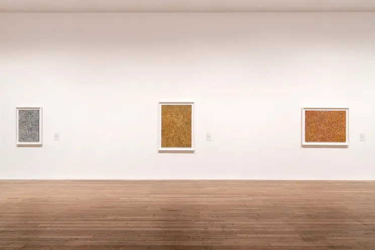 Artworks in various shapes and sizes displayed on a clean, white wall in a gallery with wooden flooring.