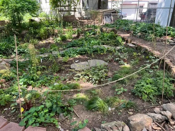 A garden bed with various plants and stones, surrounded by a rope border in an urban setting.
