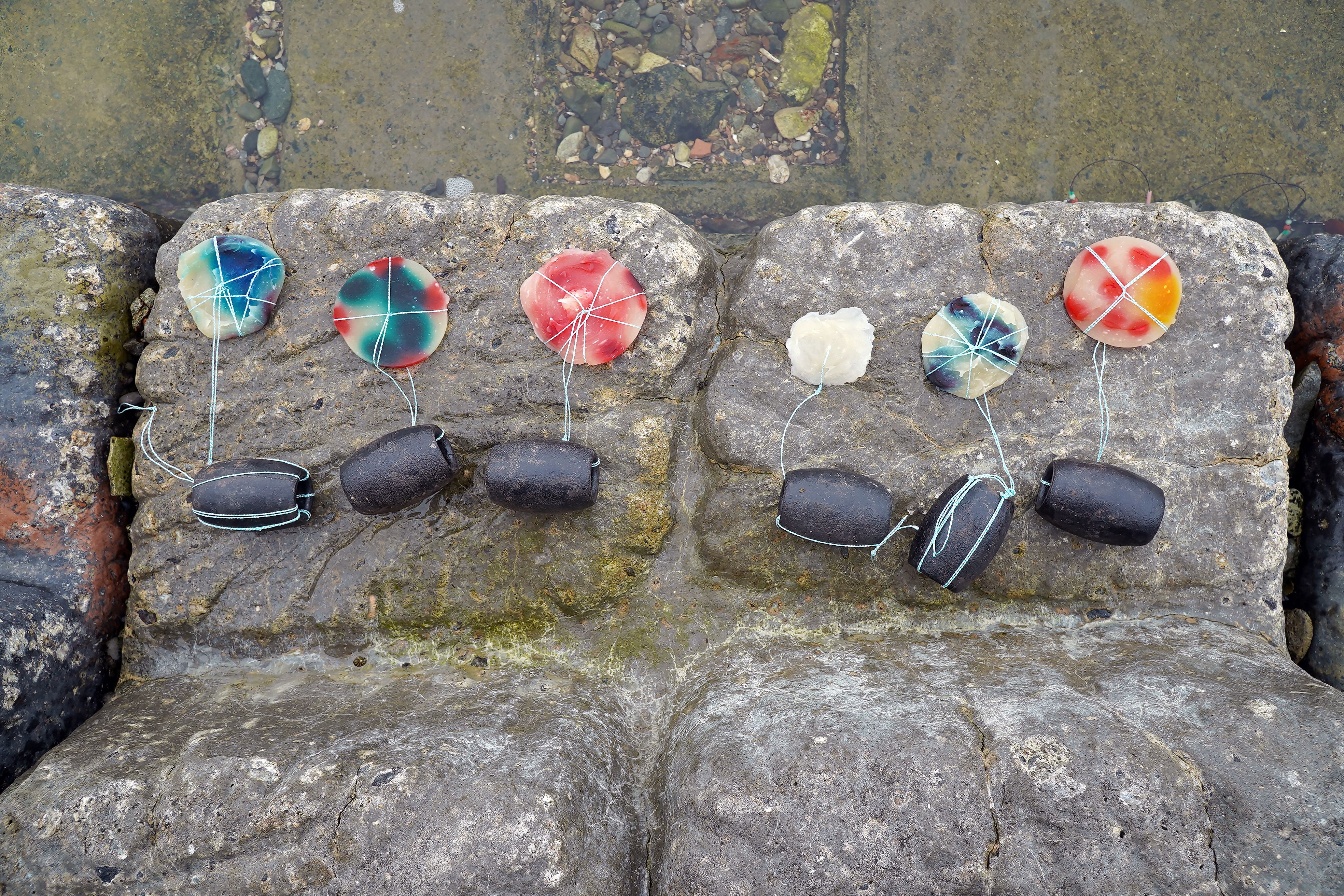 Moulds that resemble petri dishes are laid across a stone.