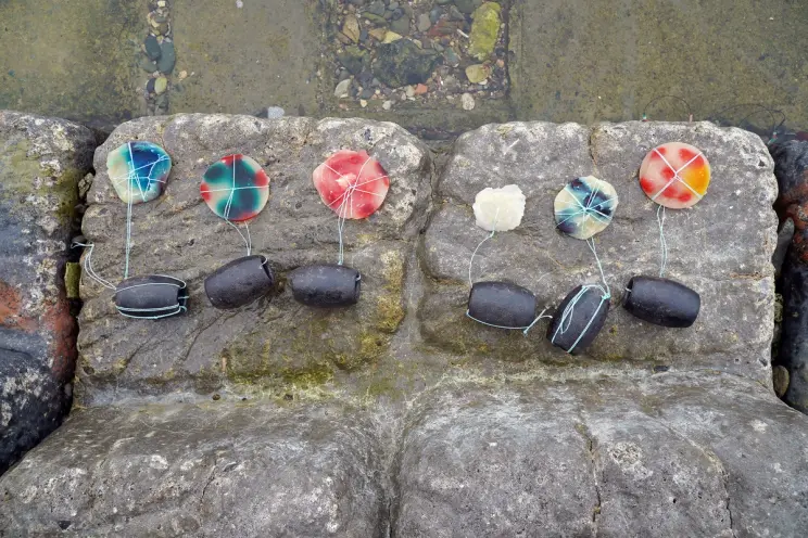 Moulds that resemble petri dishes are laid across a stone.