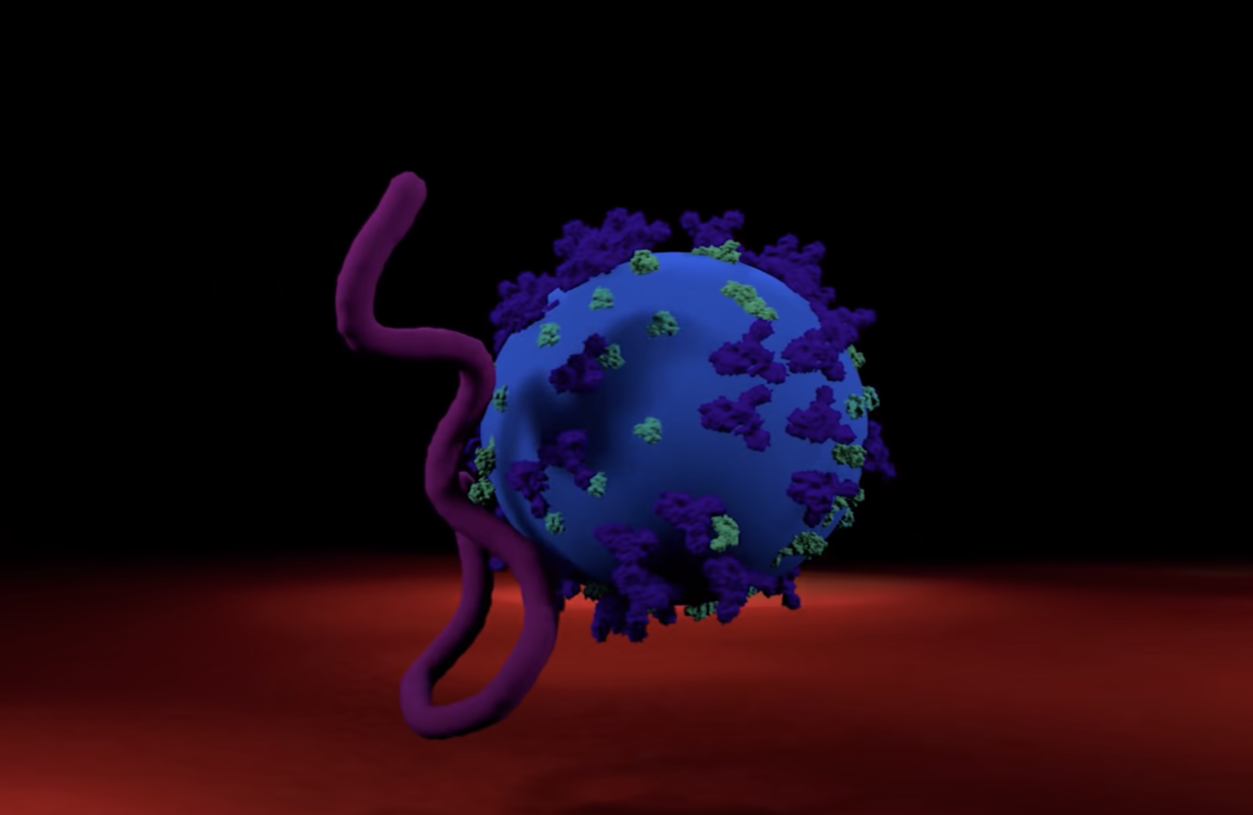 An abstract illustration featuring two intertwined forms against a black background. One form appears as a blue, virus-lik...