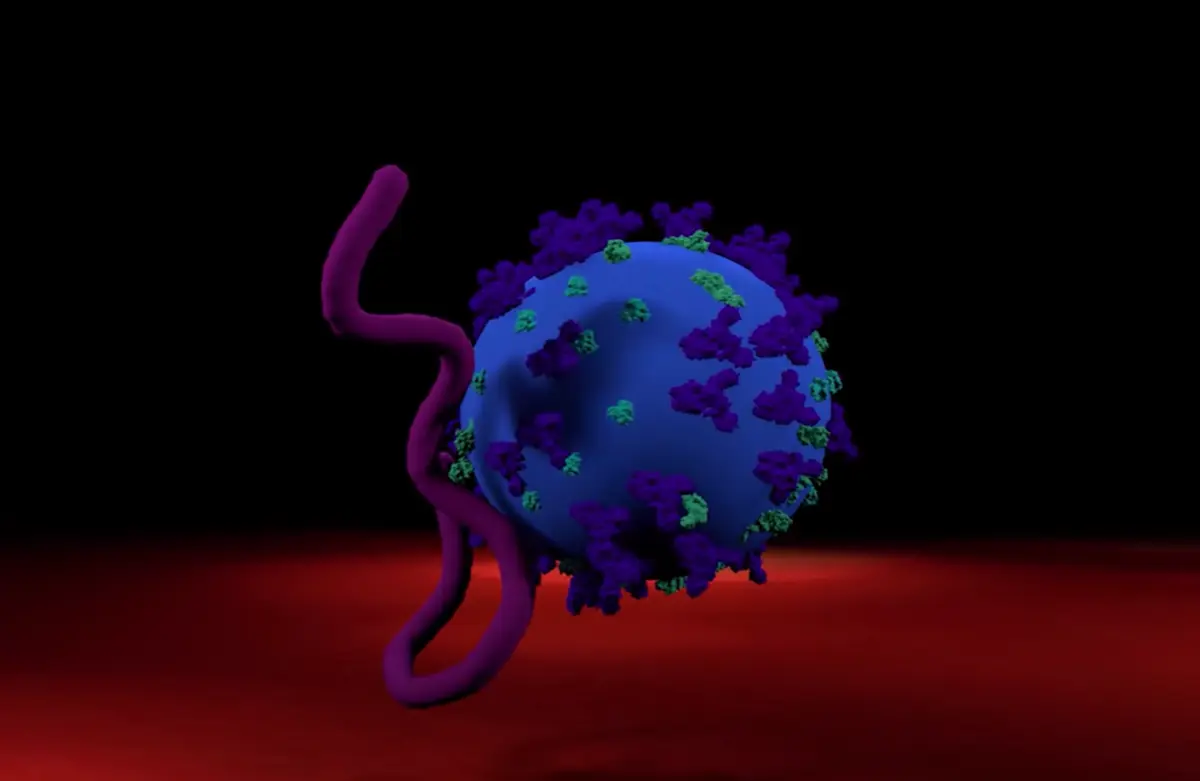 An abstract illustration featuring two intertwined forms against a black background. One form appears as a blue, virus-like sphere while the other resembles a long, twisting purple worm. The lower part of the image introduces a sudden, contrasting splash of red.