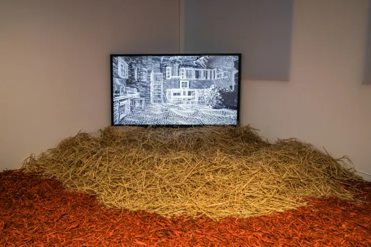 An installation featuring a TV screen displaying a black and white drawing. The TV is surrounded by hay and red mulch.